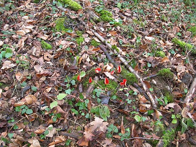 Nel  Regno  della  Jurana